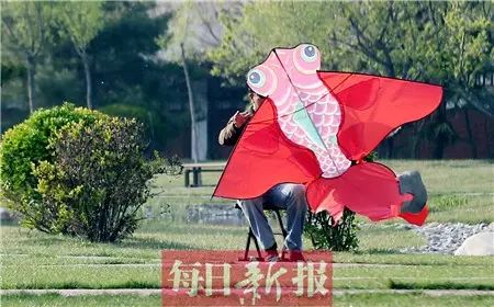 天津“禁飞区”不少 想放风筝能去哪儿