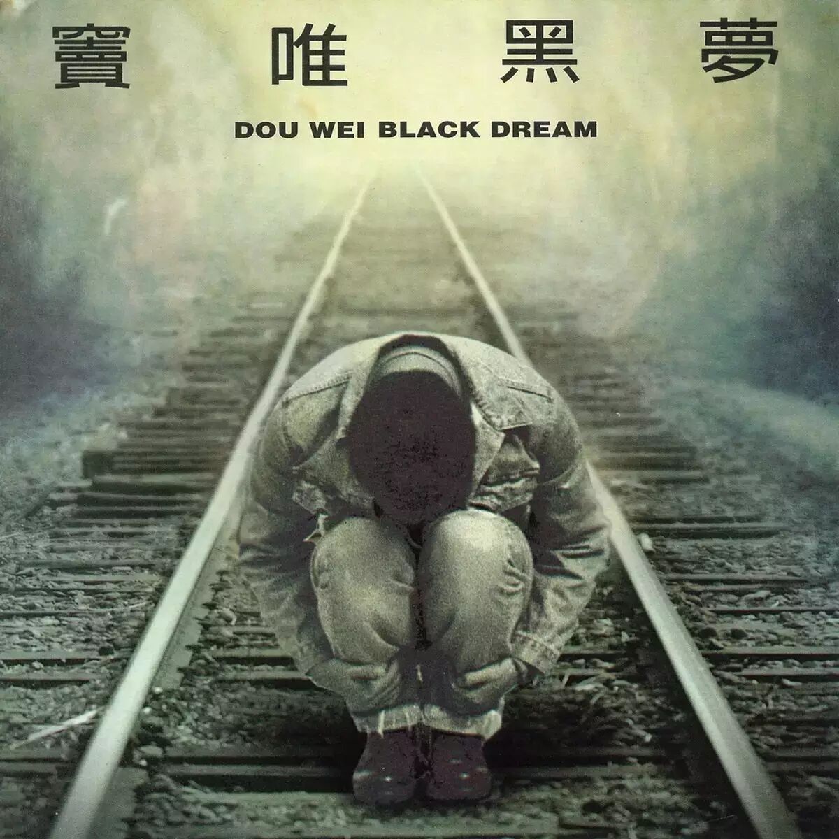 窦唯 - 高级动物