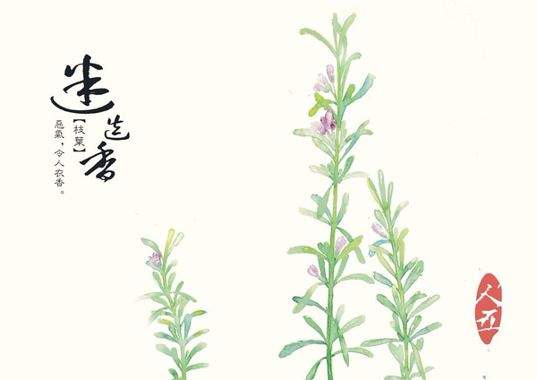 手绘本草药性之美
