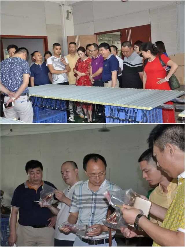 【易微观察】广东四川商会“2016年企业大走访活动”——千惠照明&琪达灯饰