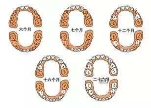 吓坏了!刚出生的宝宝竟然长了牙!医生说,这都是因为怀孕时你们在干这事-怀孕期