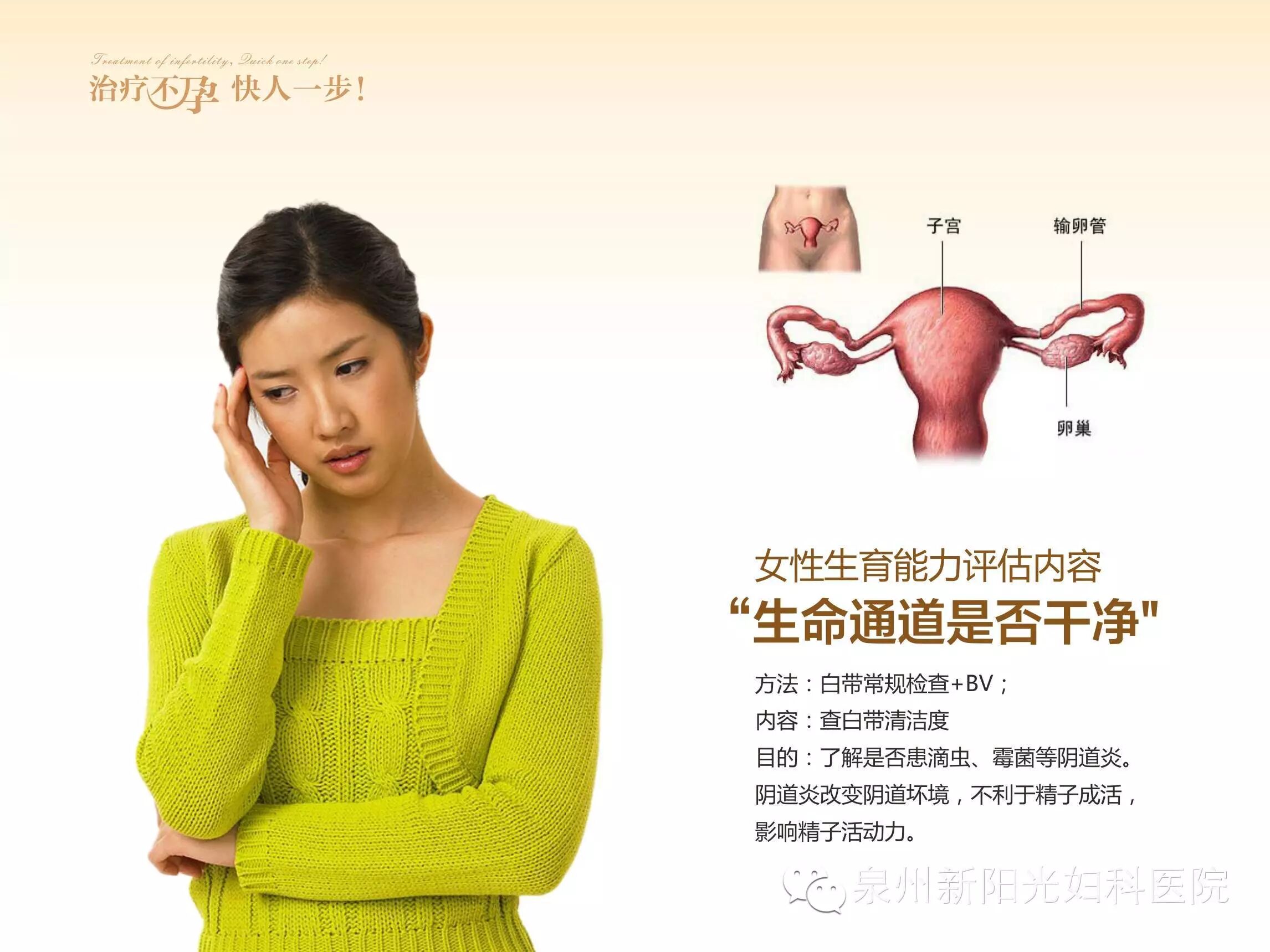 两次怀孕均胎停,原来是家里的“小可爱”在作怪……-怀孕期