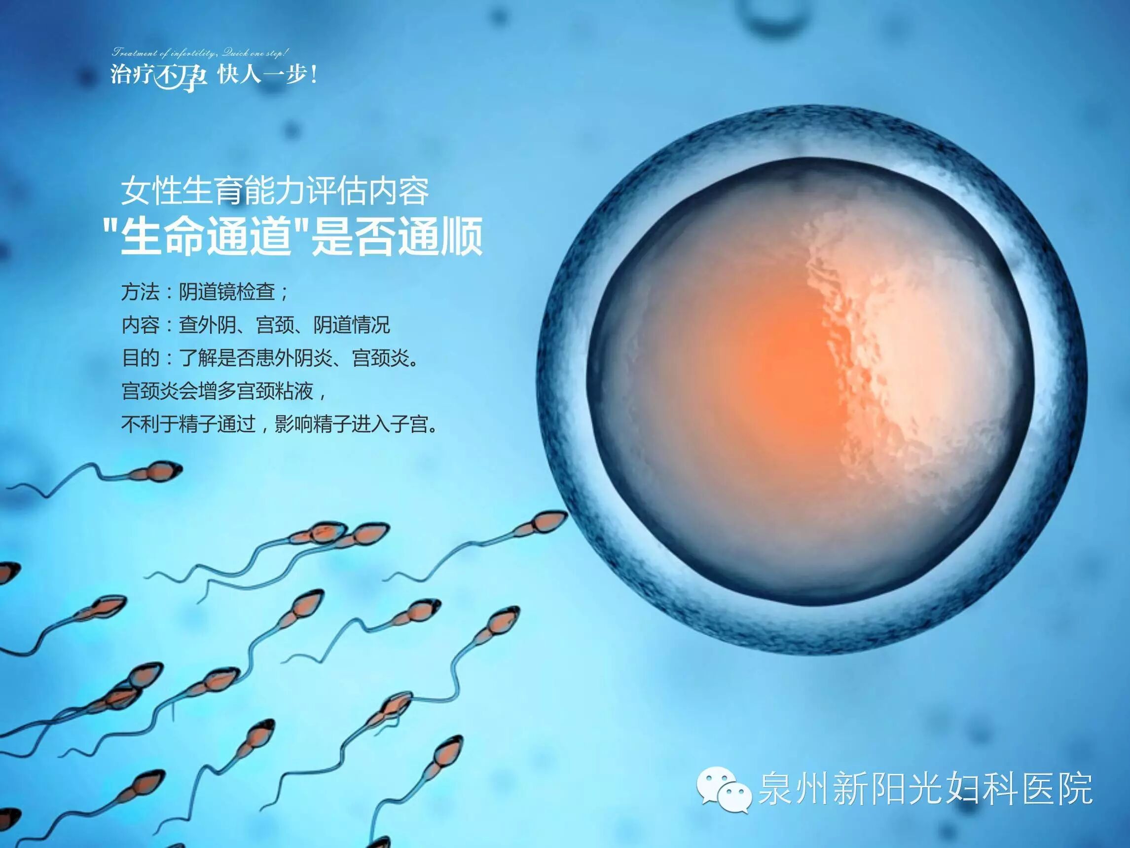 两次怀孕均胎停,原来是家里的“小可爱”在作怪……-怀孕期