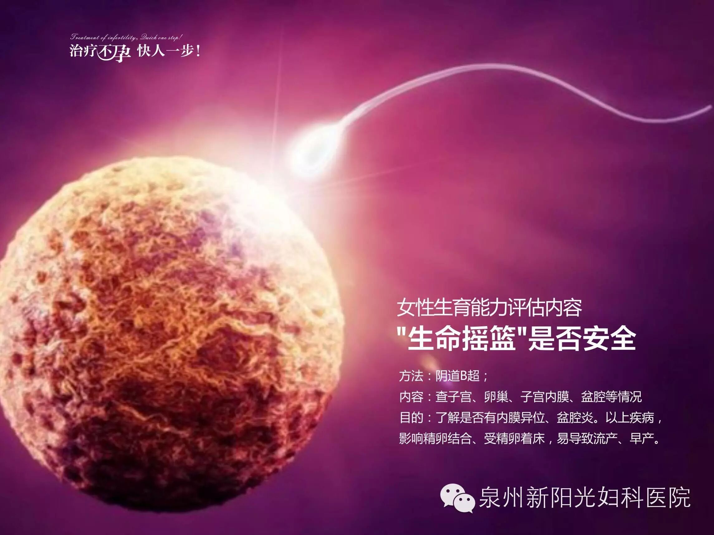 两次怀孕均胎停,原来是家里的“小可爱”在作怪……-怀孕期