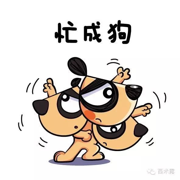 大家都忙得不亦乐乎, 忙得席不瑕暖,忙得焦头烂额. 忙!