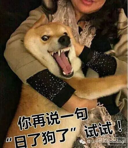 【大龙讲段子】——哥们忙,两个月才回一次家,老婆怀孕7个月,他只能让老婆用嘴~(点开语音,听段子)-怀孕期