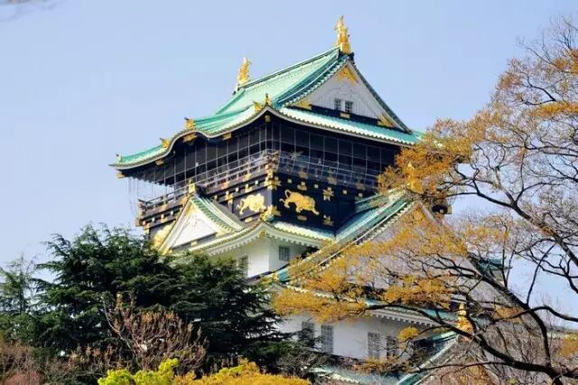 长江人力资讯网 去日本打洋工出国学技术回国当老板与狼共舞携手双赢去韩国学高尔夫来自星星的ta与我们同行