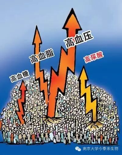 高尿酸给健康带来新隐患