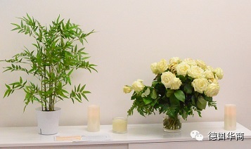 【特别关注】沉痛悼念中国留学生安然在德国病逝 【特别关注】沉痛悼念中国留学生安然在德国病逝