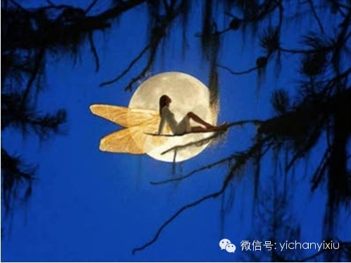 六世喇嘛-仓央嘉措诗集 - 若水如月 - 若水如月---- 六世喇嘛-仓央嘉措诗集 - 若水如月 - 若水如月----