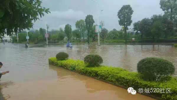 五月到恭城 欢迎来看海593 / 作者:520小编 / 帖子ID:115871