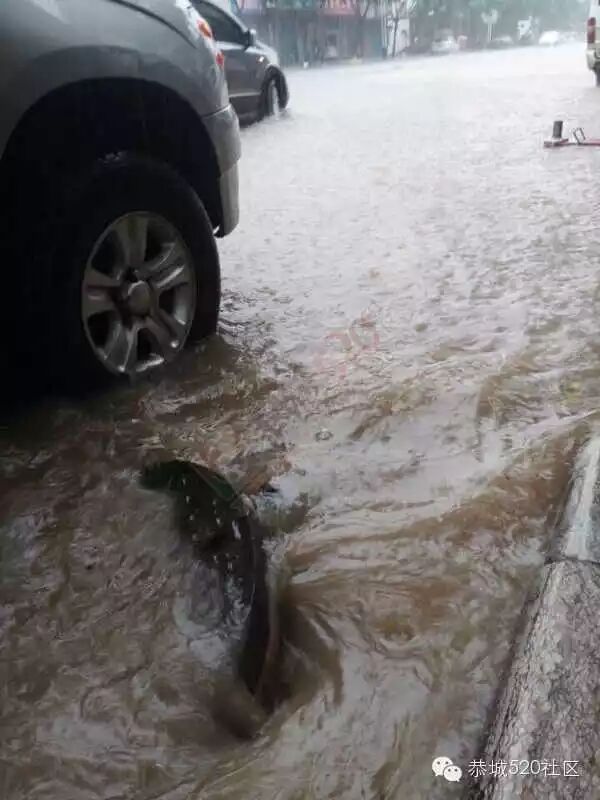 五月到恭城 欢迎来看海650 / 作者:520小编 / 帖子ID:115871