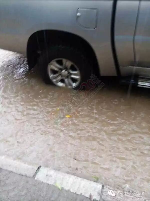 五月到恭城 欢迎来看海677 / 作者:520小编 / 帖子ID:115871