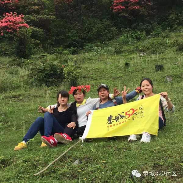 恭城520社区携手行者俱乐部赴三江大平头（棋盘界）观赏最美杜鹃花！904 / 作者:箩筐索 / 帖子ID:115901