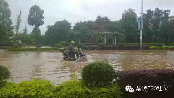 五月到恭城 欢迎来看海12 / 作者:520小编 / 帖子ID:115871