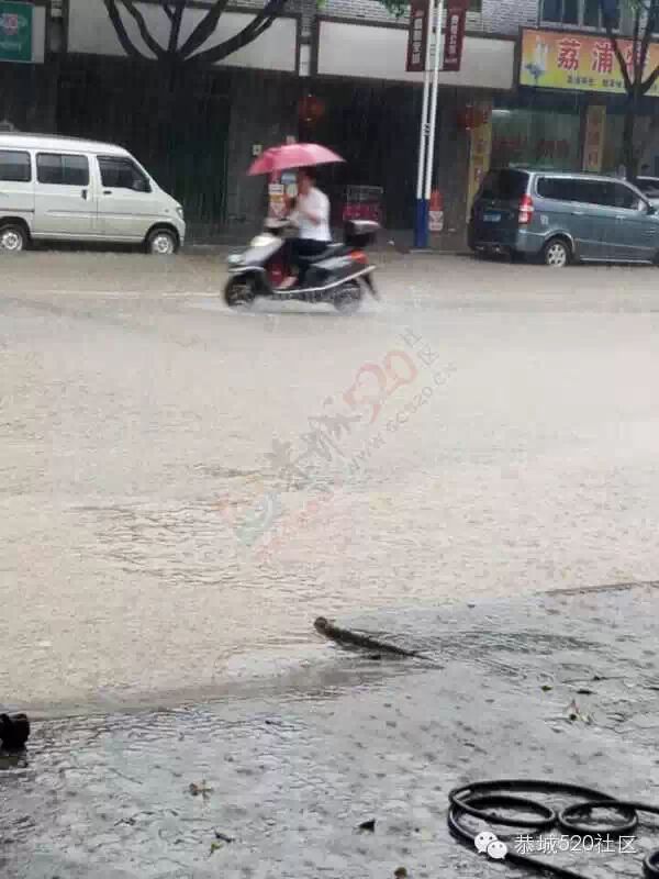 五月到恭城 欢迎来看海915 / 作者:520小编 / 帖子ID:115871