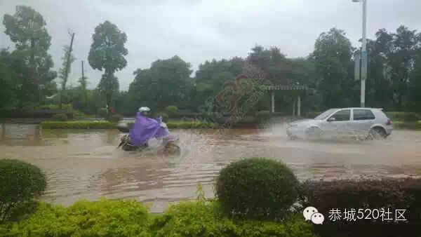 五月到恭城 欢迎来看海124 / 作者:520小编 / 帖子ID:115871