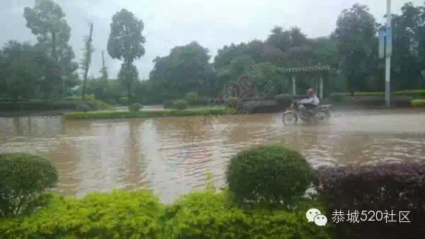 五月到恭城 欢迎来看海692 / 作者:520小编 / 帖子ID:115871