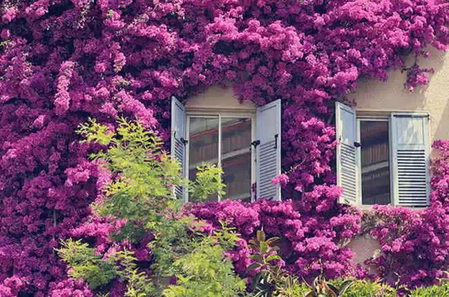 2015，我希望，你随我，乘高铁，回瑶乡过年！795 / 作者:好孩子 / 帖子ID:107086