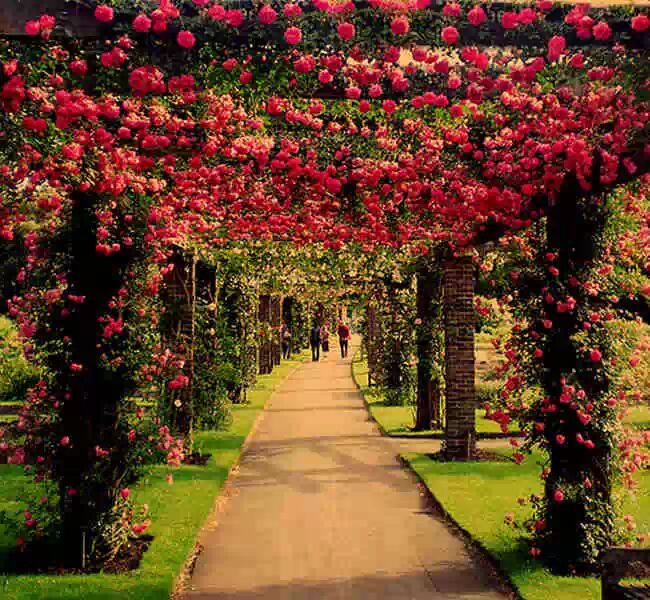 2015，我希望，你随我，乘高铁，回瑶乡过年！180 / 作者:好孩子 / 帖子ID:107086