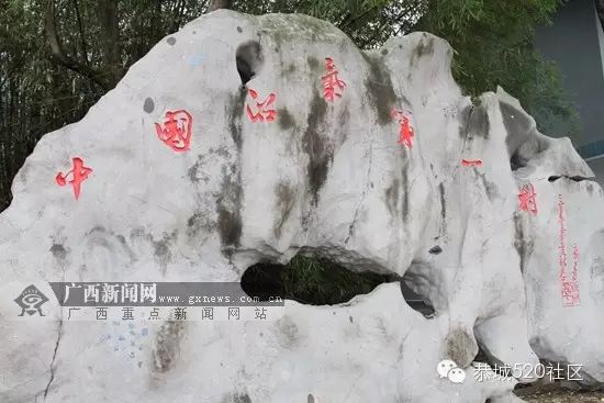 记者探秘:恭城沼气入户率如何拿下“全国第一”?767 / 作者:520小编 / 帖子ID:113312 记者探秘:恭城沼气入户率如何拿下“全国第一”?767 / 作者:520小编 / 帖子ID:113312