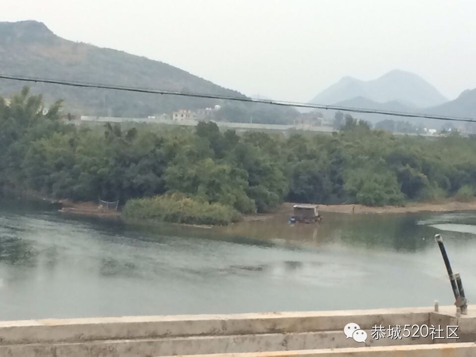 恭城滨江苑码头出现死鱼，后续报料253 / 作者:俗人 / 帖子ID:106495