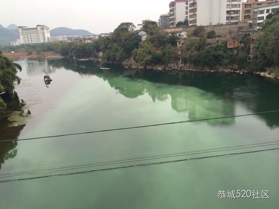 恭城滨江苑码头出现死鱼，后续报料413 / 作者:俗人 / 帖子ID:106495