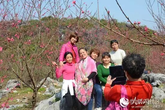 【高清组图】恭城瑶乡，三月桃花笑春风541 / 作者:深秋的落叶 / 帖子ID:164548
