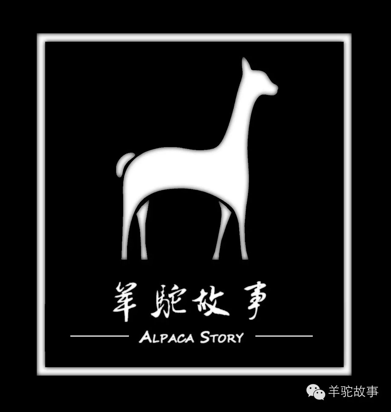 有了羊驼,印加文明的许多元素就有了传承的载体。每逢大小节日,牧民就会把自家的大羊驼(Llama)打扮起来:耳朵上带着巴掌大的耳环,脖子上系着绚丽的围巾,背上驮着丰收的粮食,走家串巷。传统的纺织工艺也得到极大的保留和发展。 (良子摄于秘鲁Cusco:传统羊驼绒毛织品染色工艺--用紫玉米做紫色染料) 同时,小羊驼(Alpaca & Vicuna)的绒毛手感极软且耐磨,保暖又抗过敏,是安第斯牧民过冬的不二选择,近几年亦备受欧美和日韩时尚服饰界的追捧。羊驼的生长过程也非常环保,不啃噬草根,不挑食,软软的