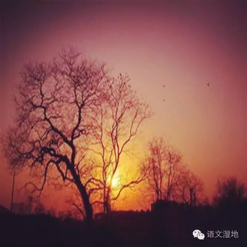 【夏花专栏】俗物之谜 ——“钱痴”王戎