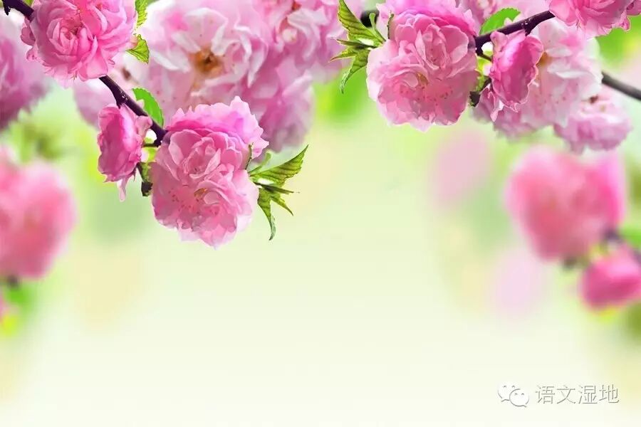 【我与名师】今天，我们这样学余映潮老师