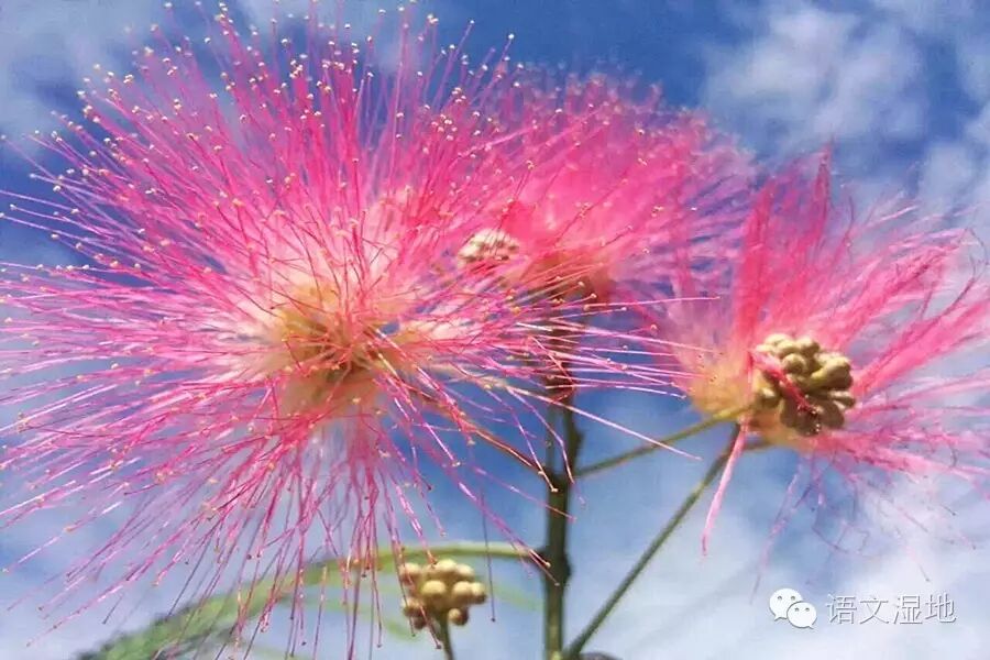 第924季【湿地秦风】激发潜能引活水   历练能力不畏难