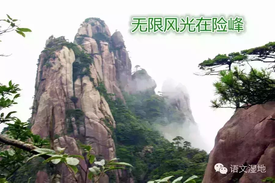 第795季【湿地 浙韵】不可预约的精彩