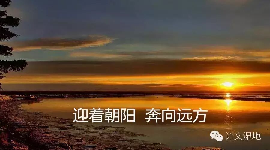803季【 湿地·燕赵】基础展练（第五篇）