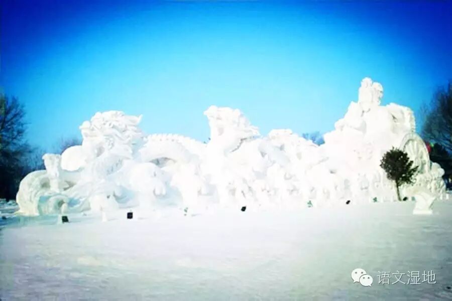 第968季【湿地豫见】语文湿地里的东君之美
