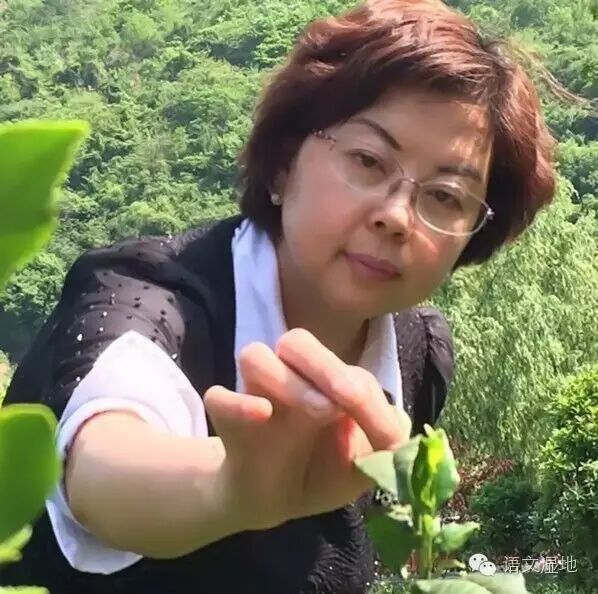 【定琴专栏】 高考志愿填报，该关注哪些数据？