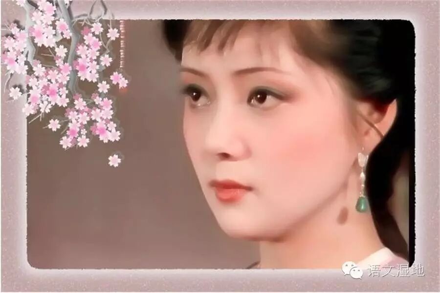 第905季【湿地 豫见】 冷美人的爱情观