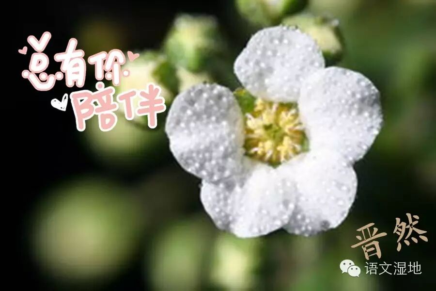 第792季【湿地.晋然】晋然周年续——回望与晋然的大好时光