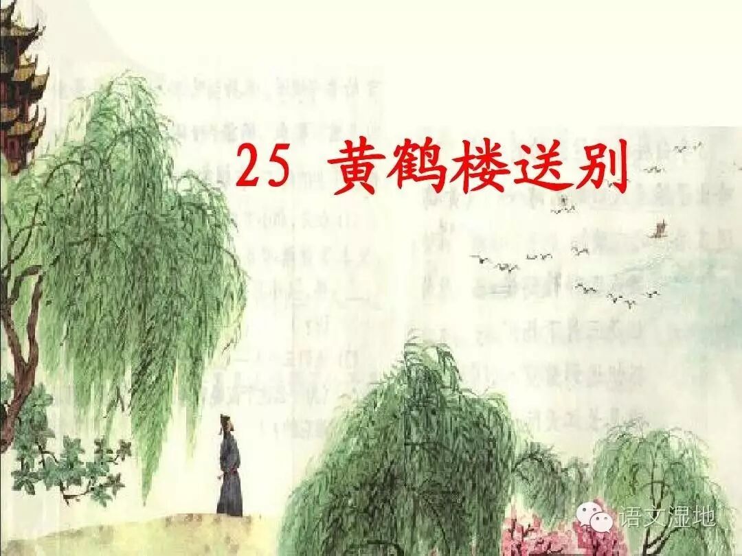 第900季【湿地浙韵】走进一次诗意的离别，走进九百次的湿地的坚持