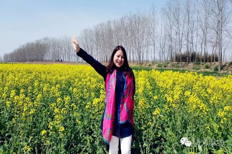 【我与名师】相遇美好，满天丰盈