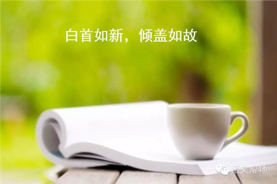 第807季【湿地 豫见】白首如新，倾盖如故