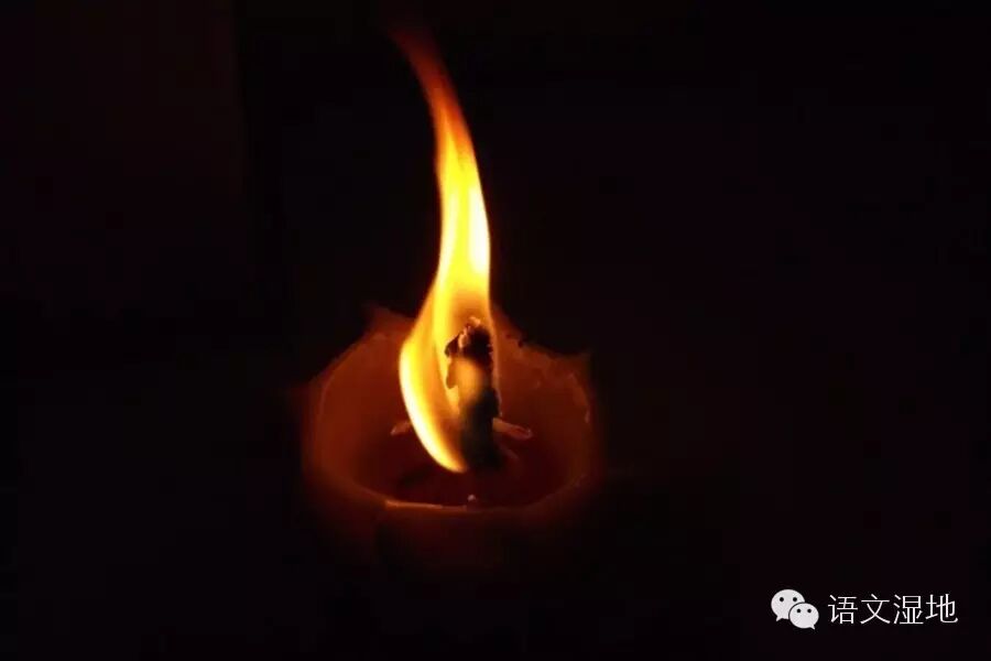 【家长课堂】那点光，照亮前路，温暖你我