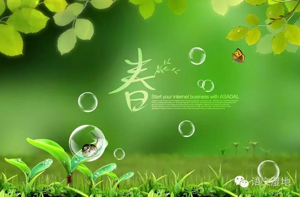 【予东专栏】走近语言的骨头