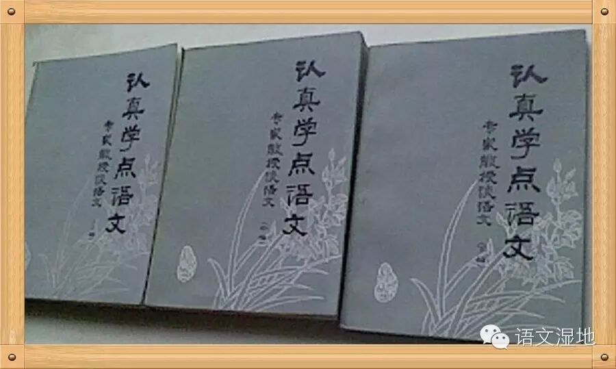 【谢华专栏】一套也许能令语文老师脱胎换骨的书《认真学点语文》真的好！