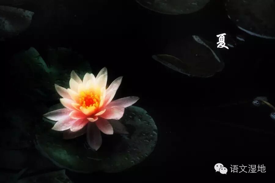 第794期【青春课堂】《夏》的教学设计
