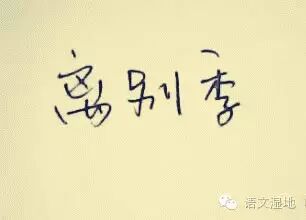 【毕业季】告别的话