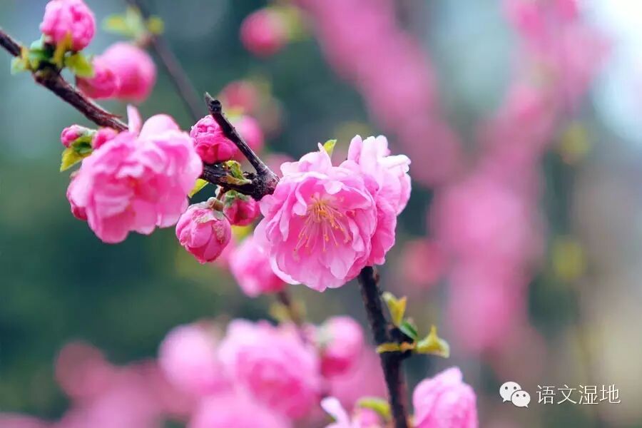 第843季【青春课堂】 因为你们，春光格外明媚