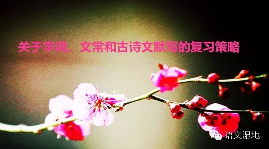 第831季 [湿地·燕赵]：谈2016年中考语文的复习（第二篇）