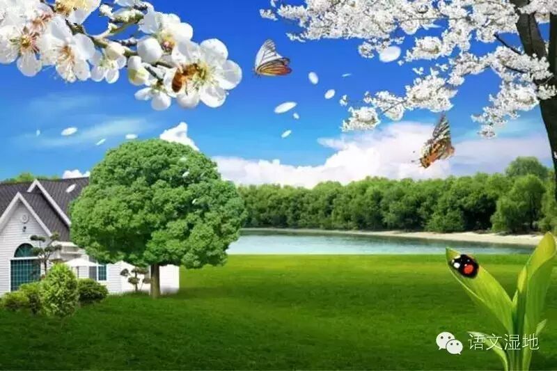 【湿地之声】让天使住进孩子的心田