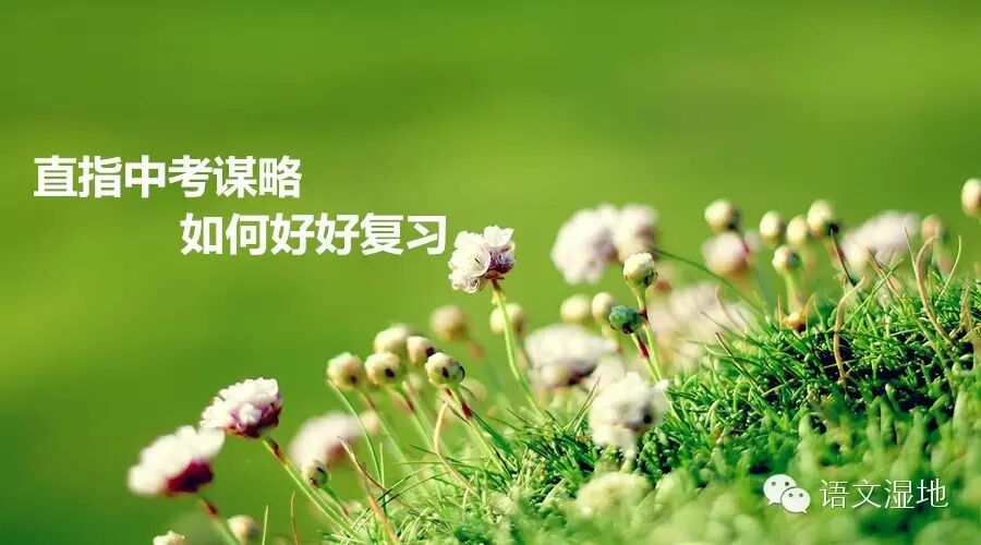 第824季【湿地•燕赵】谈2016年中考语文复习（第一篇）